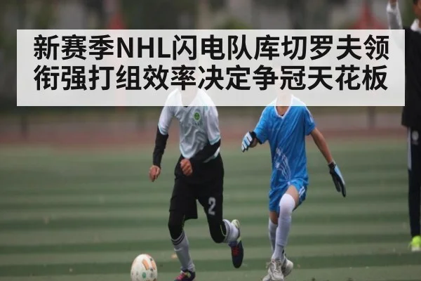 新赛季NHL闪电队库切罗夫领衔强打组效率决定争冠天花板